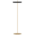 Asteria Floor Lamp - Brass / Black