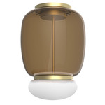 Faro Ceiling Light - Painted Brass / Burned Earth