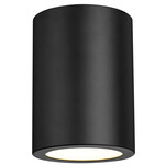 Harley Cylinder Ceiling Light  - Matte Black