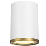 Arlo Cylinder Ceiling Light - Matte White/Rubbed Brass