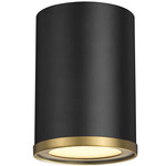 Arlo Cylinder Ceiling Light - Matte Black/Rubbed Brass