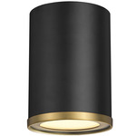 Arlo Cylinder Ceiling Light - Matte Black / Rubbed Brass