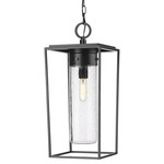 Sheridan Outdoor Pendant - Black / Clear Seedy