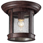 514 Outdoor Ceiling Light - Weathered Bronze / Clear Seedy