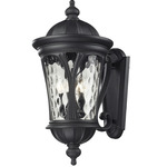 Doma Outdoor Wall Light - Black / Clear