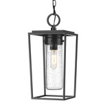 Sheridan Outdoor Pendant - Black / Clear Seedy