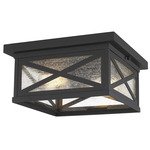 Brookside Outdoor Ceiling Light - Black / Clear Seedy