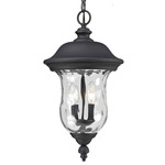 Armstrong Outdoor Pendant - Black / Clear Water