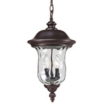 Armstrong Outdoor Pendant - Bronze / Clear Water