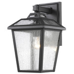 Bayland Outdoor Wall Light - Black / Clear Seedy