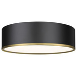 Arlo Ceiling Light - Matte Black/Rubbed Brass / Frost