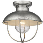 Ansel Outdoor Ceiling Light - Galvanized / Clear Seedy