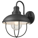 Ansel Outdoor Wall Sconce - Black / Clear Seedy