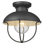Ansel Outdoor Ceiling Light - Black / Clear Seedy