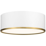 Arlo Ceiling Light - Matte White / Rubbed Brass / Frost