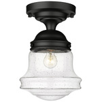 Vaughn Ceiling Light - Matte Black / Clear Seedy