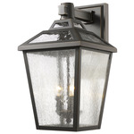 Bayland Outdoor Wall Light - Oil Rubbed Bronze / Clear Seedy