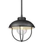 Ansel Outdoor Pendant - Black / Clear Seedy