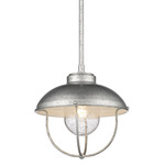 Ansel Outdoor Pendant - Galvanized / Clear Seedy