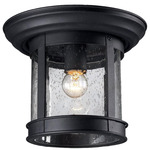 514 Outdoor Ceiling Light - Black / Clear Seedy