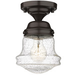 Vaughn Ceiling Light - Bronze / Clear Seedy