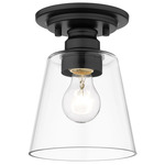 Annora Ceiling Light - Matte Black / Clear