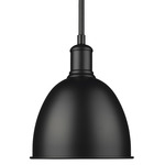 Sawyer Pendant - Matte Black