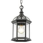 Annex Outdoor Pendant - Black / Clear Beveled
