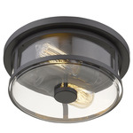 Savannah Ceiling Light - Bronze / Clear