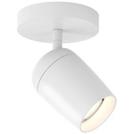 Koto Single Wall / Ceiling Spotlight - Matte White