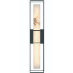 Blakley Indoor / Outdoor Wall Sconce - Black / Alabaster