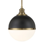 Vorey Pendant - Aged Brass / Black / Etched Opal