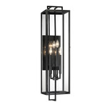 Knoll Road Outdoor Wall Light - Coal / Clear