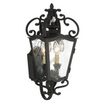 Brixton Ivy Outdoor Wall Light - Sand Coal / Clear