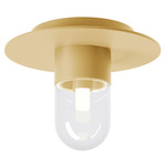 Everyday Wall / Ceiling Light - Brass / Clear