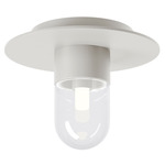 Everyday Wall / Ceiling Light - Silver / Clear