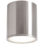 Everly Outdoor Color-Select Ceiling Light - Satin Nickel / Frosted