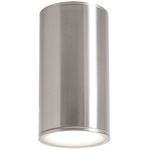 Everly Outdoor Color-Select Ceiling Light - Satin Nickel / Frosted