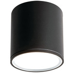 Everly Outdoor Color-Select Ceiling Light - Black / Frosted