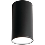 Everly Outdoor Color-Select Ceiling Light - Black / Frosted