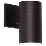 Everly Outdoor Color-Select Wall Sconce - Black / Frosted