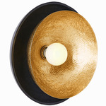 Amani Wall / Ceiling Light - Blackened Iron / Antique Brass