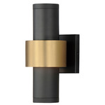 Reveal Outdoor Wall Sconce - Black / Black / Gold