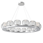 Vessel Ring Chandelier - Classic Silver / Vessel Clear