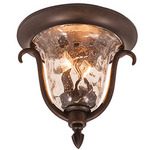 Santa Barbara Outdoor Ceiling Light - Burnished Bronze / Clear Seedy