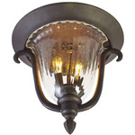 Santa Barbara Outdoor Ceiling Light - Textured Matte Black / Clear Seedy