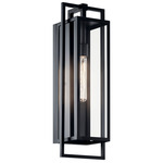 Goson Outdoor Wall Sconce - Black / Clear