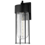 Millennial Outdoor Wall Sconce - Black / Clear Seedy