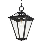 Prism Outdoor Pendant - Black / Clear