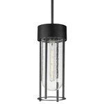 Millennial Outdoor Pendant - Black / Clear Seedy